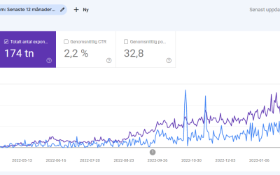 Vad är sökordsoptimering som ger resultat?